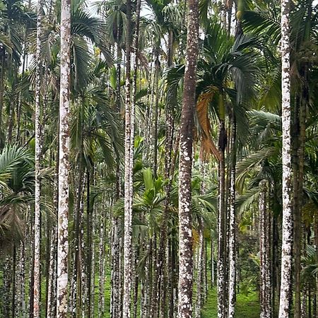 Max Farms Shivamogga Exterior foto